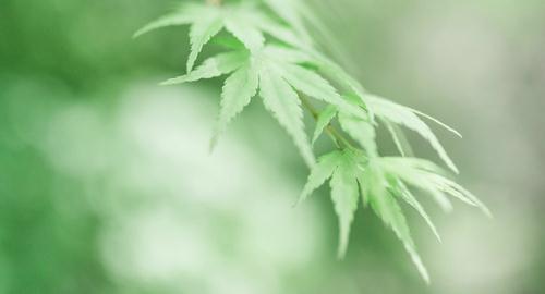 2018考研专业解读：计算机三大就业方向