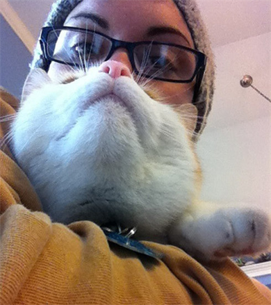 新传考研攒例子 | 让猫咪自拍的正确方式